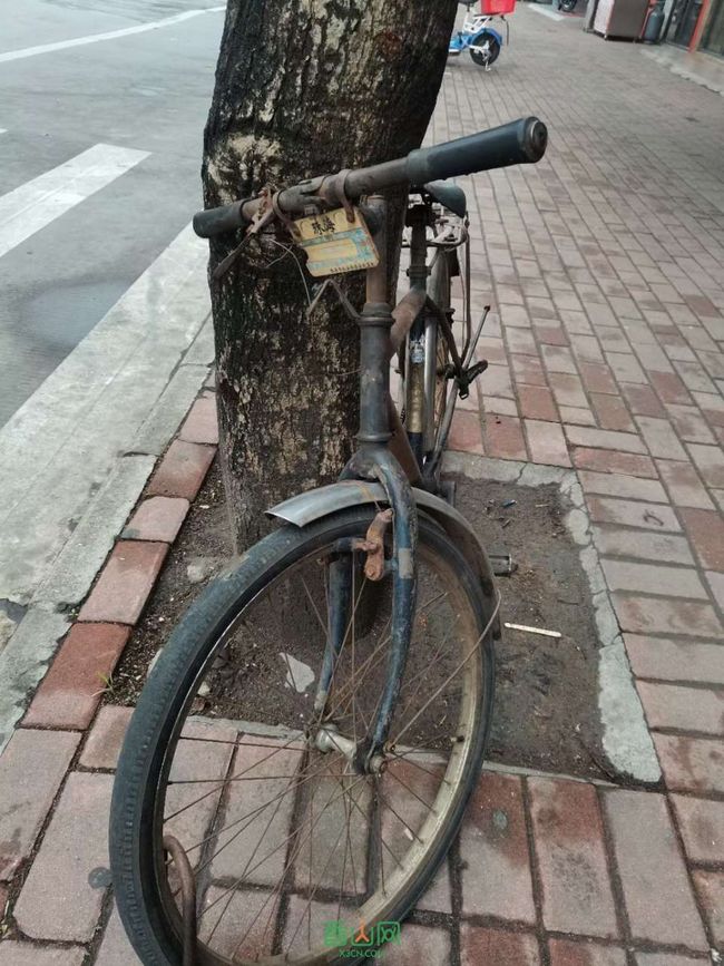 珠海7080年代的單車